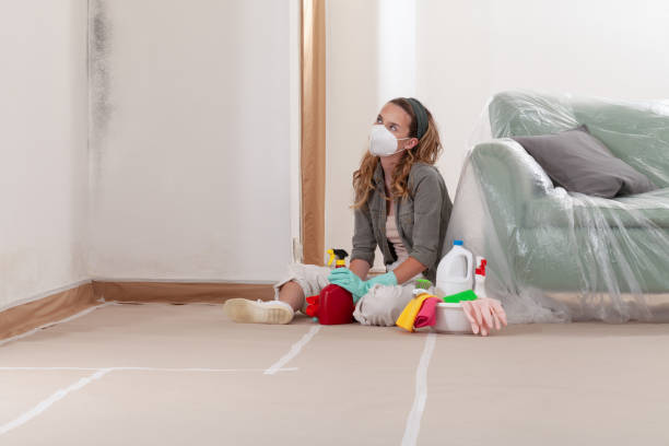 Reliable Basement Mold Removal contractor in Wernersville, PA by WQB Mold Removal